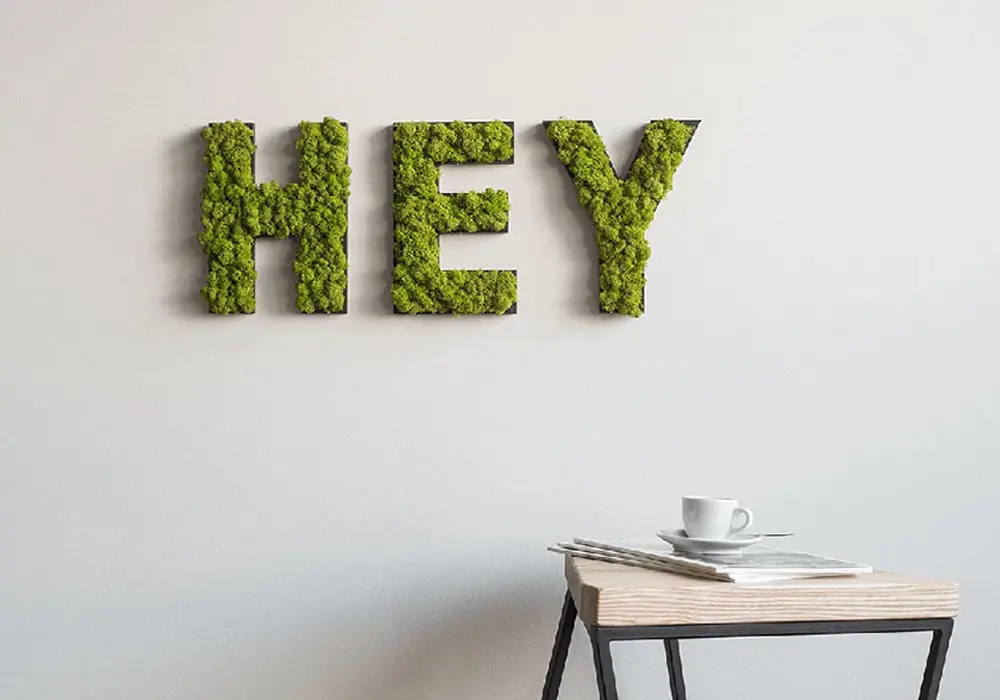 3D Schriftzug mit Moosoberfläche Hey in Innsbruck